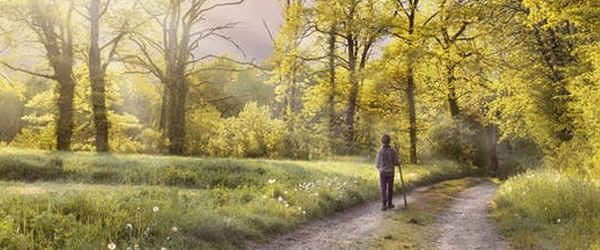 trekking step by step